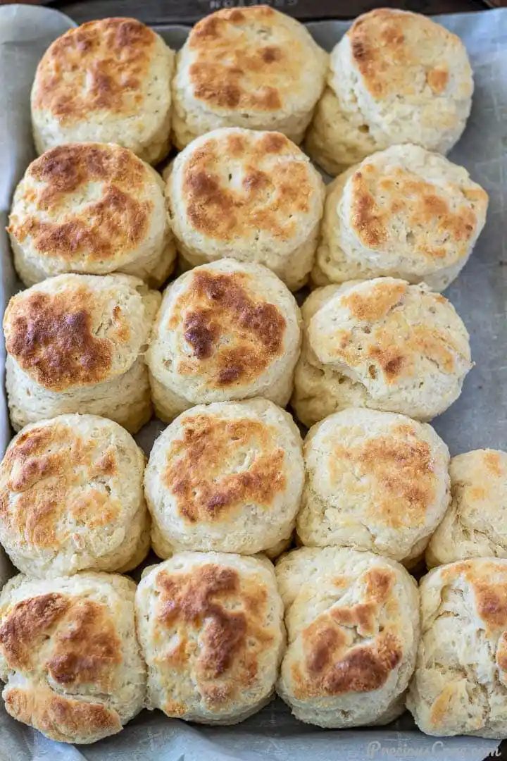 Cream Cheese Biscuits