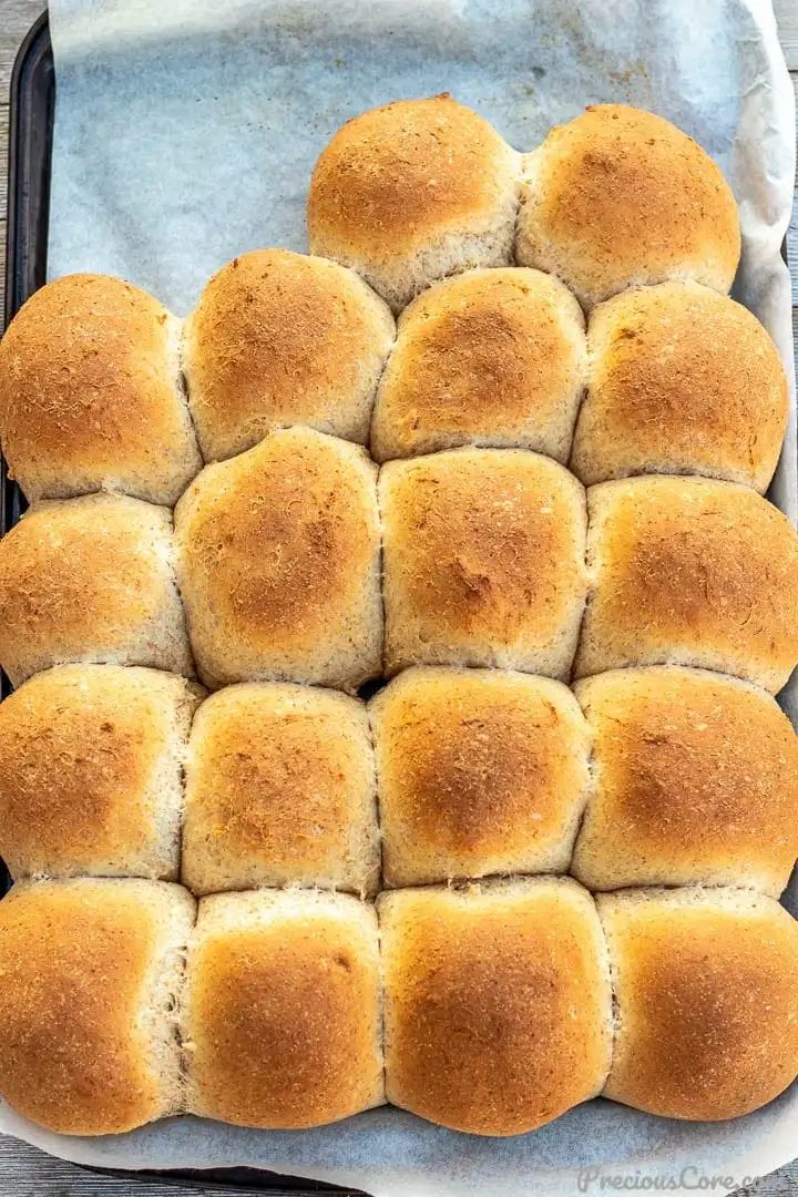 Honey Whole Wheat Dinner Rolls