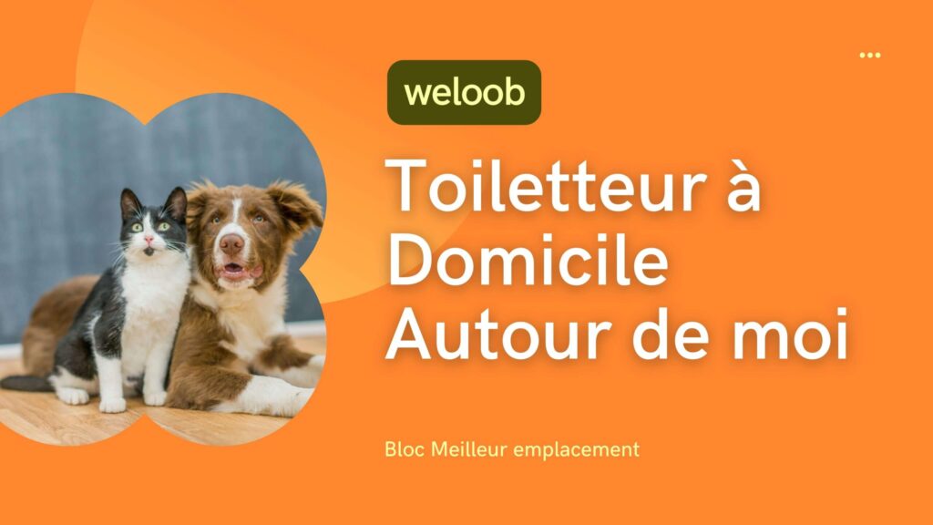 toiletteur